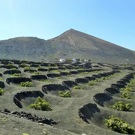 Alma 플라야블랑카